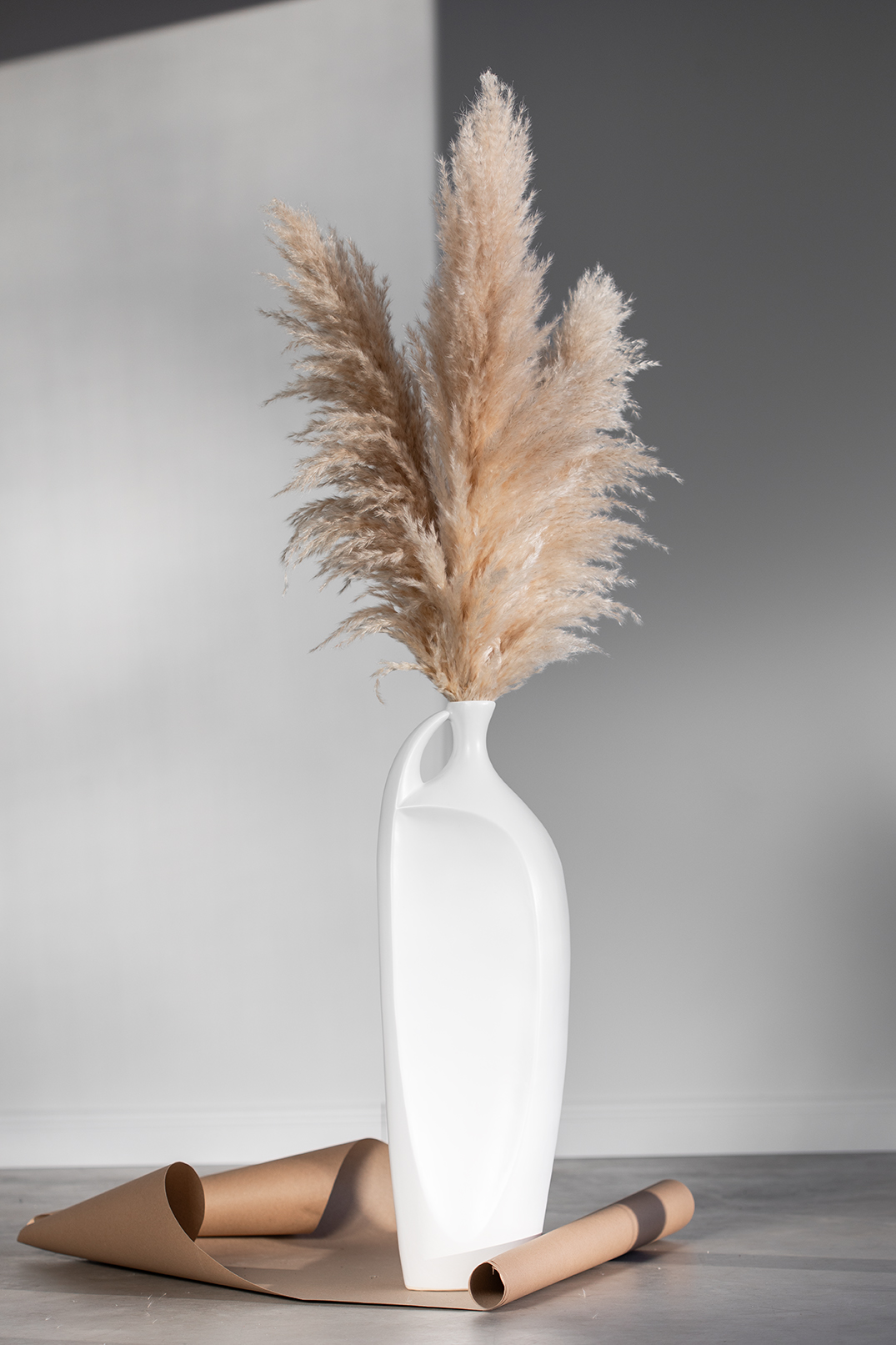 Kuivatatud Pamparohi 115cm